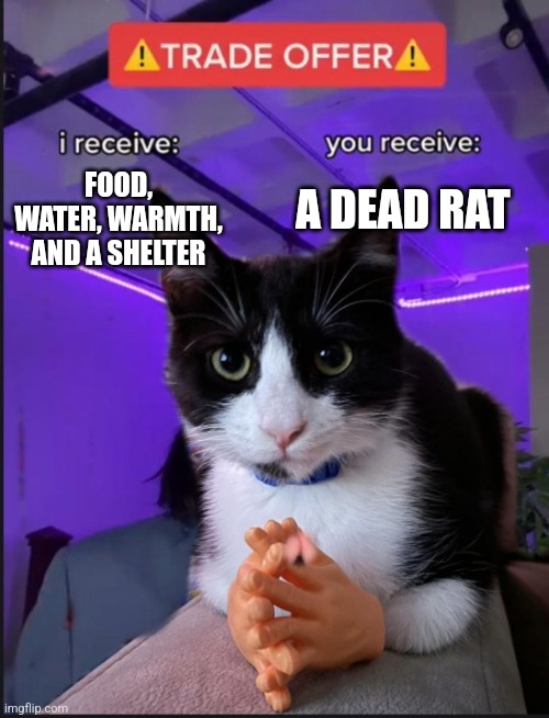 Yes... | A DEAD RAT; FOOD, WATER, WARMTH, AND A SHELTER | image tagged in trade offer cat | made w/ Imgflip meme maker