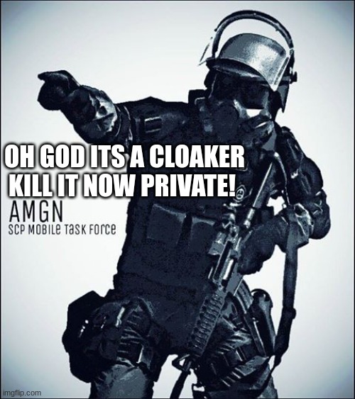 cloakers suck | OH GOD ITS A CLOAKER KILL IT NOW PRIVATE! | image tagged in mtf-scp | made w/ Imgflip meme maker