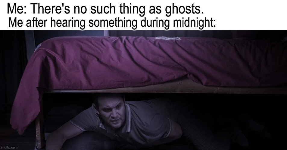 You'll never know | Me: There's no such thing as ghosts. Me after hearing something during midnight: | image tagged in memes,funny,relatable,fear | made w/ Imgflip meme maker