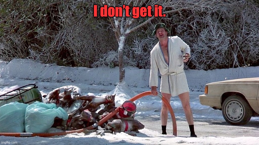 Cousin Eddie | I don’t get it. | image tagged in cousin eddie | made w/ Imgflip meme maker