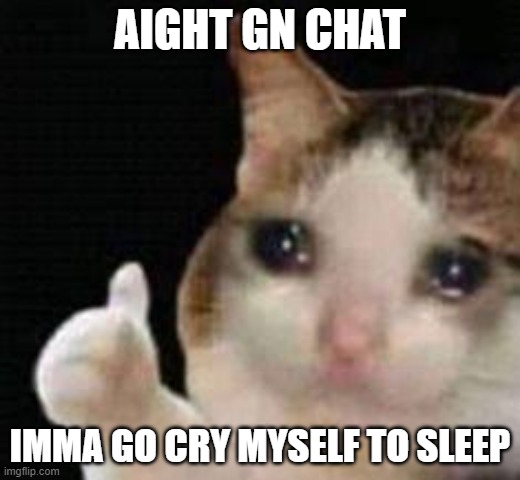 heartbreak hurts tbh | AIGHT GN CHAT; IMMA GO CRY MYSELF TO SLEEP | image tagged in approved crying cat | made w/ Imgflip meme maker