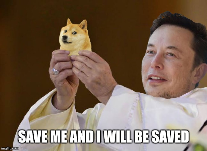 Dogecoin | SAVE ME AND I WILL BE SAVED | image tagged in dogecoin | made w/ Imgflip meme maker