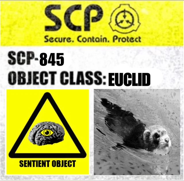 SCP-845 Label Blank Meme Template