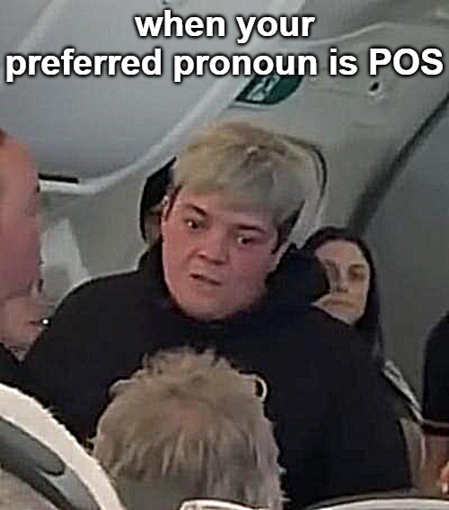 when your preferred pronoun is POS | image tagged in snakes on a plane | made w/ Imgflip meme maker