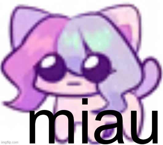 sash | miau | image tagged in sash | made w/ Imgflip meme maker