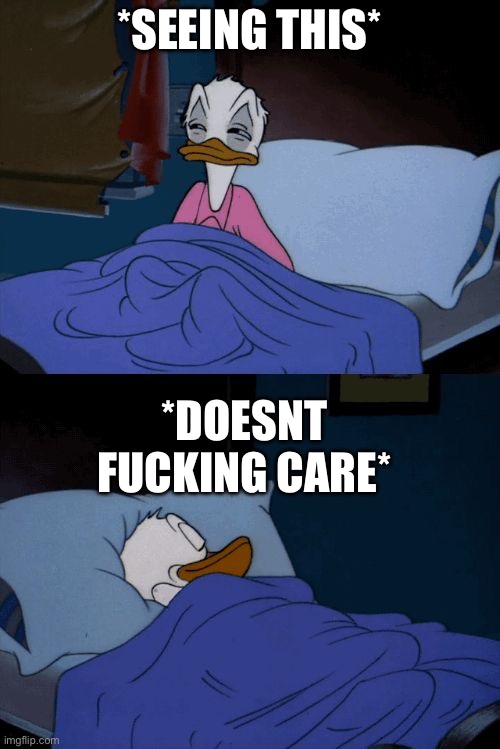 Sleeping Donald Duck | *SEEING THIS* *DOESNT FUCKING CARE* | image tagged in sleeping donald duck | made w/ Imgflip meme maker