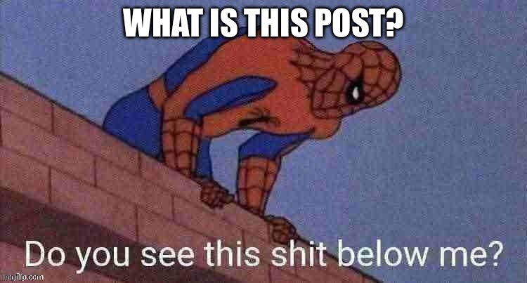 Spider-doubts | WHAT IS THIS POST? | image tagged in do you see this shit below me | made w/ Imgflip meme maker