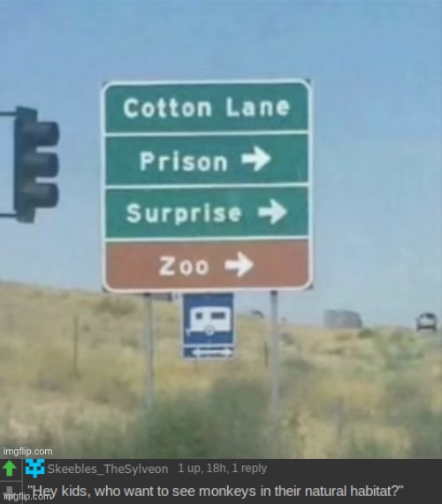 dang(Morpeko: ooh ooh me me) | image tagged in memes,funny,cursedcomments,funny signs,imgflip | made w/ Imgflip meme maker