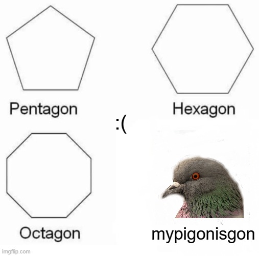 Pentagon Hexagon Octagon | :(; mypigonisgon | image tagged in memes,pentagon hexagon octagon | made w/ Imgflip meme maker