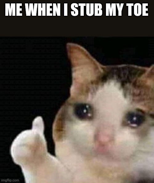 sad thumbs up cat | ME WHEN I STUB MY TOE | image tagged in sad thumbs up cat | made w/ Imgflip meme maker