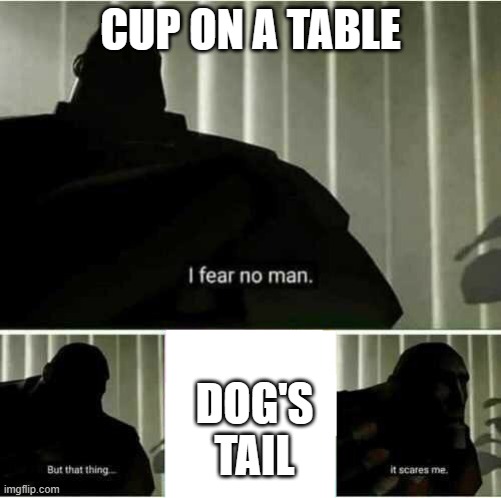 I fear no man | CUP ON A TABLE; DOG'S TAIL | image tagged in i fear no man | made w/ Imgflip meme maker
