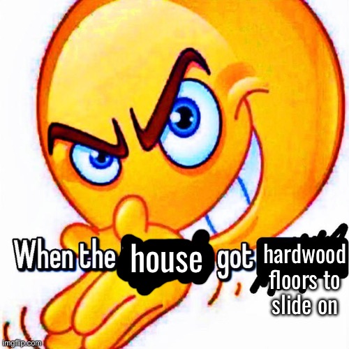 so fucking fun oml | hardwood floors to slide on; house | image tagged in when the function got _____ | made w/ Imgflip meme maker