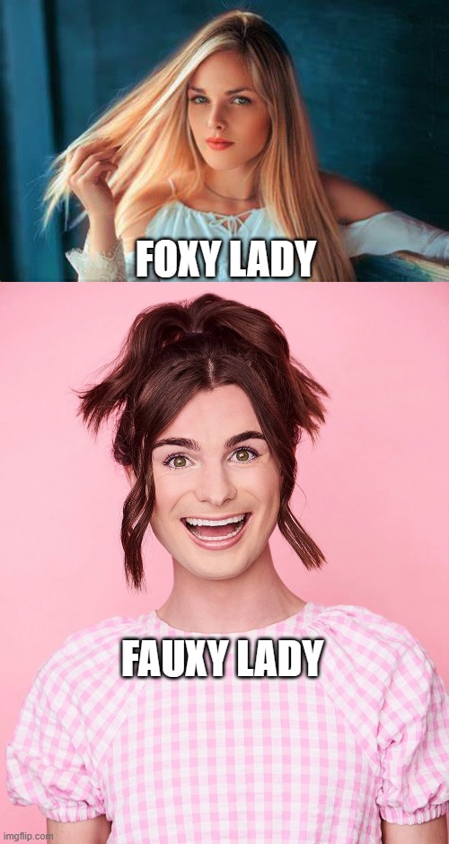 FOXY LADY; FAUXY LADY | image tagged in dylan mulvaney | made w/ Imgflip meme maker