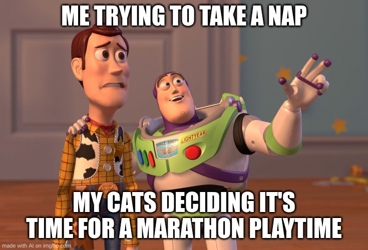 X, X Everywhere | ME TRYING TO TAKE A NAP; MY CATS DECIDING IT'S TIME FOR A MARATHON PLAYTIME | image tagged in memes,x x everywhere | made w/ Imgflip meme maker