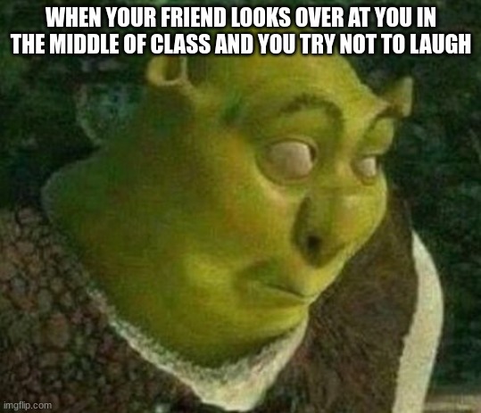this happens too often lol | WHEN YOUR FRIEND LOOKS OVER AT YOU IN THE MIDDLE OF CLASS AND YOU TRY NOT TO LAUGH | image tagged in oops shrek,funny,memes | made w/ Imgflip meme maker