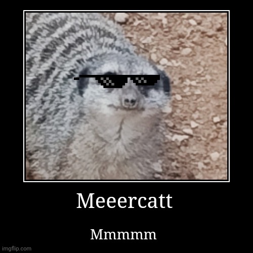 Meeercatt | Mmmmm | image tagged in funny,demotivationals | made w/ Imgflip demotivational maker