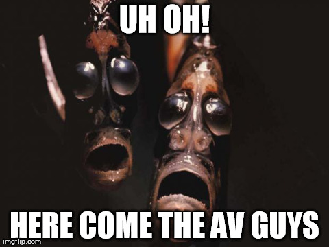 UH OH! HERE COME THE AV GUYS | image tagged in niggerfish | made w/ Imgflip meme maker