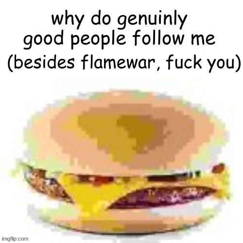 hamburger | why do genuinly good people follow me; (besides flamewar, fuck you) | image tagged in hamburger | made w/ Imgflip meme maker