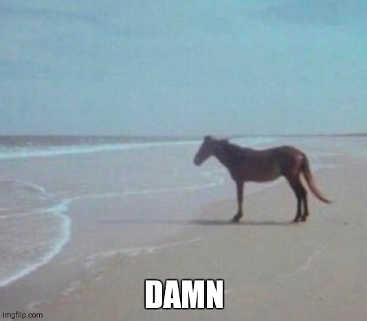 Man Horse Water | DAMN | image tagged in man horse water | made w/ Imgflip meme maker
