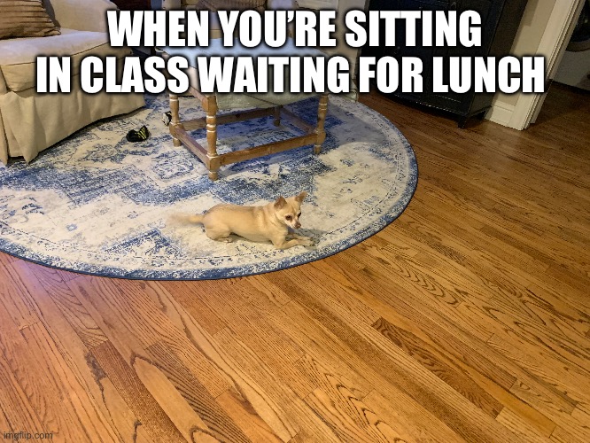 Just sitting through math | WHEN YOU’RE SITTING IN CLASS WAITING FOR LUNCH | image tagged in dixie,wixie,prixie,twixie | made w/ Imgflip meme maker