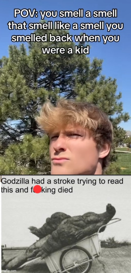 Nah really I had to read this like 6 times to understand t | image tagged in godzilla,smell,wtf,godzilla had a stroke trying to read this and fricking died,stroke | made w/ Imgflip meme maker