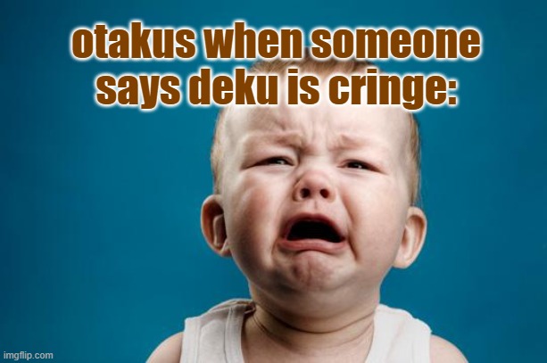 BABY CRYING | otakus when someone says deku is cringe: | image tagged in baby crying | made w/ Imgflip meme maker