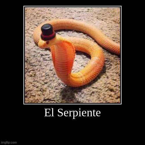 snek | El Serpiente | | image tagged in funny,demotivationals,memes,snake,snek,shitpost | made w/ Imgflip demotivational maker