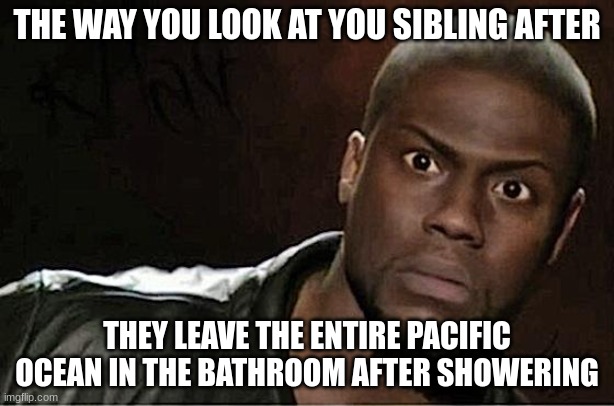 bro clean it up | THE WAY YOU LOOK AT YOU SIBLING AFTER; THEY LEAVE THE ENTIRE PACIFIC OCEAN IN THE BATHROOM AFTER SHOWERING | image tagged in memes,kevin hart | made w/ Imgflip meme maker