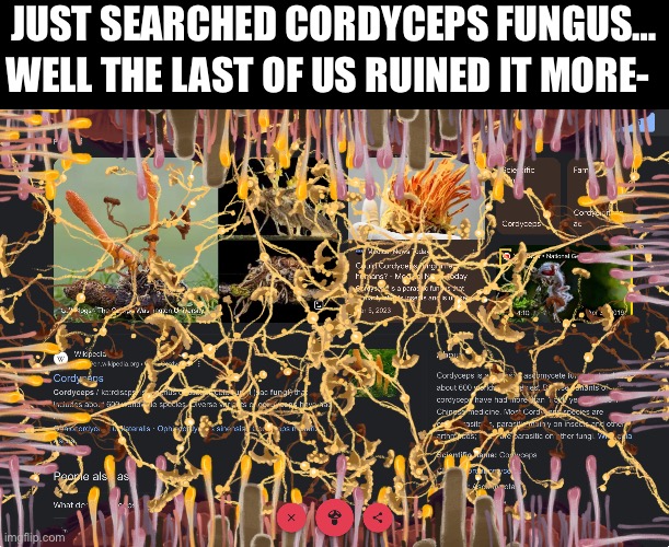 Hmmmm i wonder what this mushroom button does….AAAAAAA | JUST SEARCHED CORDYCEPS FUNGUS…; WELL THE LAST OF US RUINED IT MORE- | image tagged in fungus,science | made w/ Imgflip meme maker