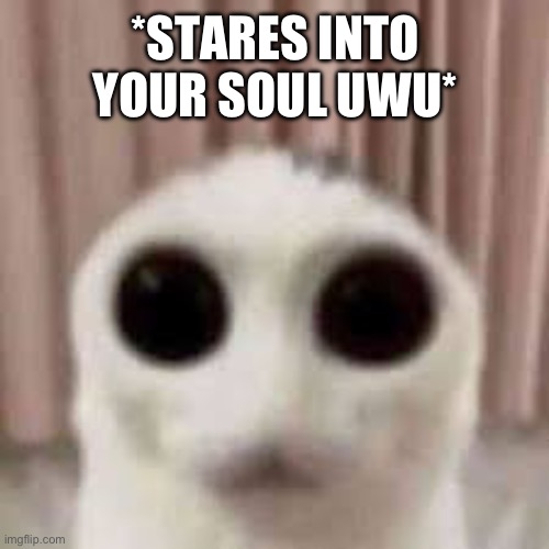 *STARES INTO YOUR SOUL UWU* | made w/ Imgflip meme maker