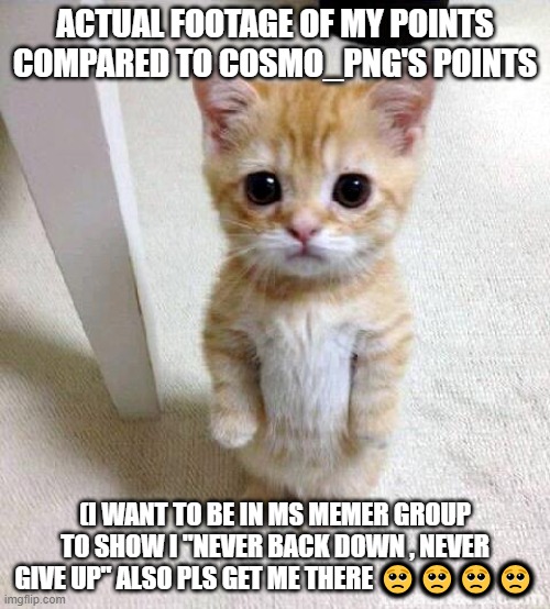 Cute Cat Meme | ACTUAL FOOTAGE OF MY POINTS COMPARED TO COSMO_PNG'S POINTS; (I WANT TO BE IN MS MEMER GROUP TO SHOW I "NEVER BACK DOWN , NEVER GIVE UP" ALSO PLS GET ME THERE 🥺🥺🥺🥺 | image tagged in memes,fnaf,charity,pls,help me,msmg | made w/ Imgflip meme maker