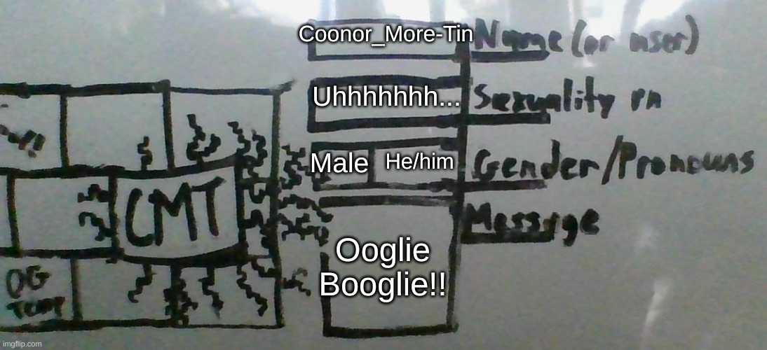 I'm so bored right now... | Coonor_More-Tin; Uhhhhhhh... He/him; Male; Ooglie Booglie!! | image tagged in cmt's cool template,memes,fresh memes | made w/ Imgflip meme maker