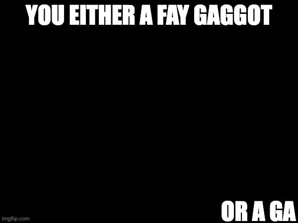 This is /j, I'm not homophobic I repeat I am not homophobic this is a joke | YOU EITHER A FAY GAGGOT; OR A GA | made w/ Imgflip meme maker