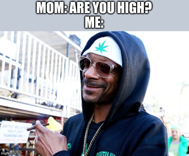 snoop | MOM: ARE YOU HIGH?
ME: | image tagged in snoop dogg | made w/ Imgflip meme maker