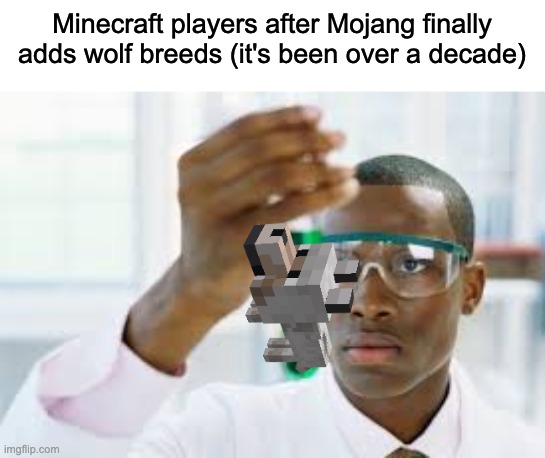 This is too true, I remember wanting this like years ago | Minecraft players after Mojang finally adds wolf breeds (it's been over a decade) | image tagged in minecraft,funny,minecraft wolf,memes | made w/ Imgflip meme maker