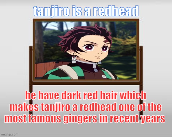 tanjiro is a redhead | tanjiro is a redhead; he have dark red hair which makes tanjiro a redhead one of the most famous gingers in recent years | image tagged in school board,tanjiro,demon slayer,ginger,famous,redheads | made w/ Imgflip meme maker