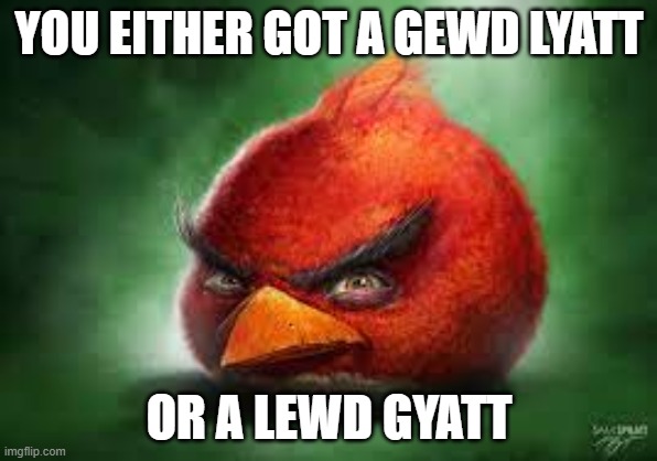 Realistic Red Angry Birds | YOU EITHER GOT A GEWD LYATT; OR A LEWD GYATT | image tagged in realistic red angry birds | made w/ Imgflip meme maker