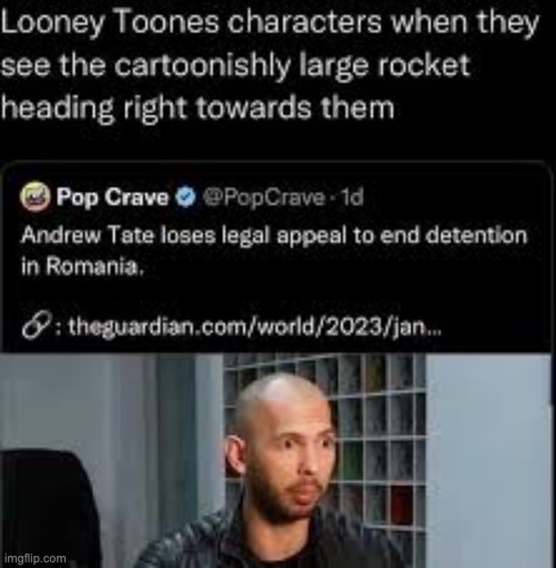 Andrew Tate is a real-life stereotypical Looney Tunes character lmao | image tagged in rare,insults,memes,funny,roasted | made w/ Imgflip meme maker