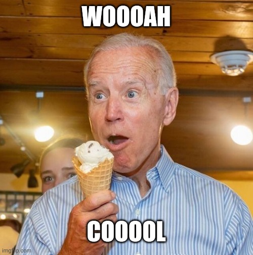 Biden loves ice cream | WOOOAH COOOOL | image tagged in biden loves ice cream | made w/ Imgflip meme maker