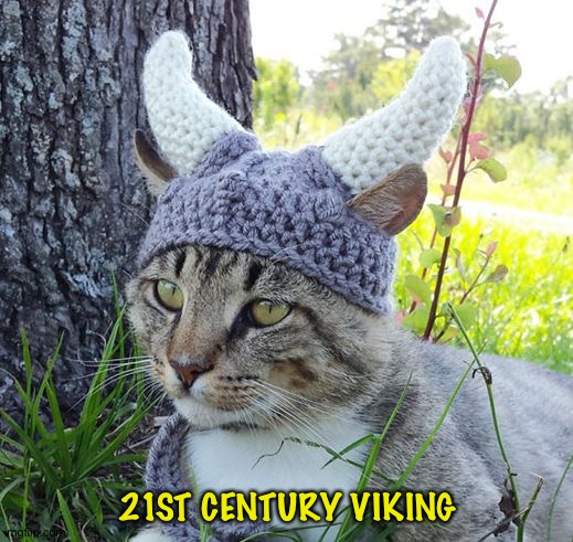 Modern Vikings | 21ST CENTURY VIKING | image tagged in viking cat crochete hat | made w/ Imgflip meme maker