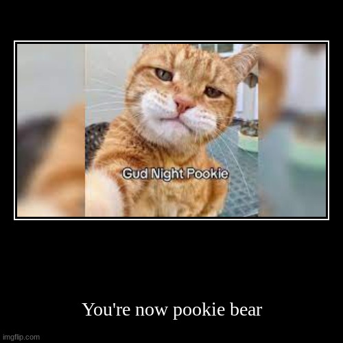 Night night | You're now pookie bear | image tagged in funny,demotivationals | made w/ Imgflip demotivational maker