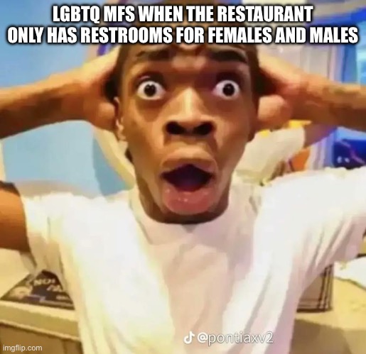 L | LGBTQ MFS WHEN THE RESTAURANT ONLY HAS RESTROOMS FOR FEMALES AND MALES | image tagged in shocked black guy,lgbtq | made w/ Imgflip meme maker