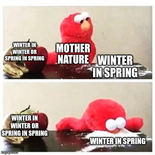 true | WINTER IN WINTER OR SPRING IN SPRING; MOTHER NATURE; WINTER IN SPRING; WINTER IN WINTER OR SPRING IN SPRING; WINTER IN SPRING | image tagged in elmo cocaine,fun,funny | made w/ Imgflip meme maker