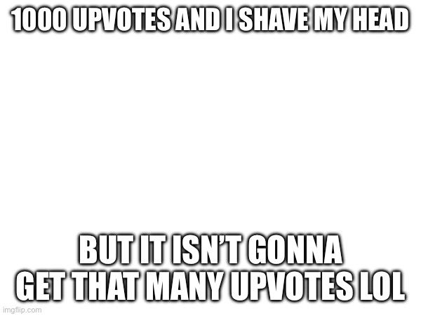 I am a girl /srs | 1000 UPVOTES AND I SHAVE MY HEAD; BUT IT ISN’T GONNA GET THAT MANY UPVOTES LOL | made w/ Imgflip meme maker