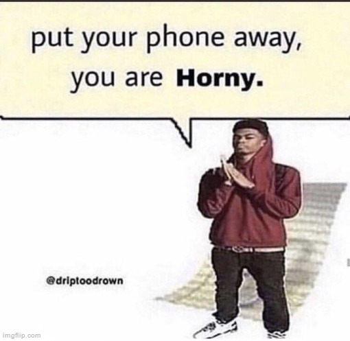 Put Your Phone Away, You Are Horny. | image tagged in put your phone away you are horny | made w/ Imgflip meme maker