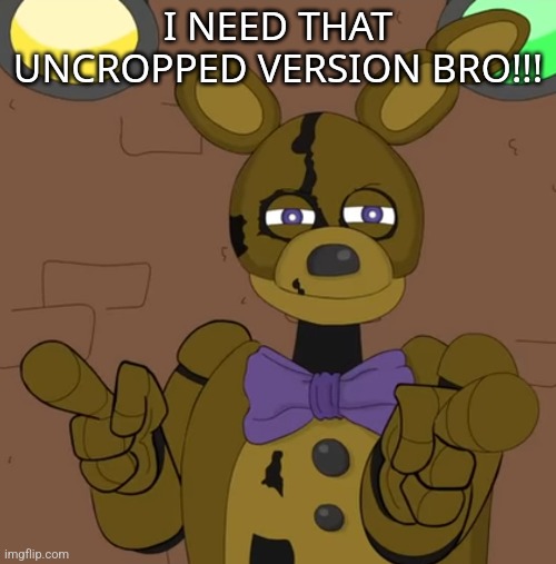 hehehehaw fack u | I NEED THAT UNCROPPED VERSION BRO!!! | image tagged in hehehehaw fack u | made w/ Imgflip meme maker