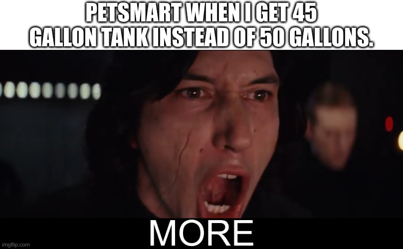 Kylo Ren MORE | PETSMART WHEN I GET 45 GALLON TANK INSTEAD OF 50 GALLONS. | image tagged in kylo ren more | made w/ Imgflip meme maker