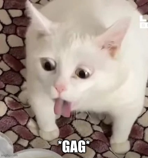cat gag | *GAG* | image tagged in cat gag | made w/ Imgflip meme maker
