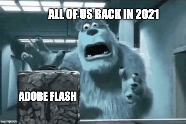 Sully finds the cube | ALL OF US BACK IN 2021; ADOBE FLASH | image tagged in sully finds the cube | made w/ Imgflip meme maker