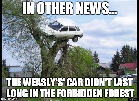 a sad image for Arthur Weasly | IN OTHER NEWS... THE WEASLY'S' CAR DIDN'T LAST LONG IN THE FORBIDDEN FOREST | image tagged in memes,secure parking | made w/ Imgflip meme maker